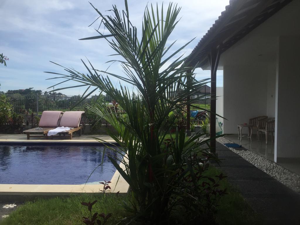 Pererenan Nengah Guest House Canggu Zewnętrze zdjęcie